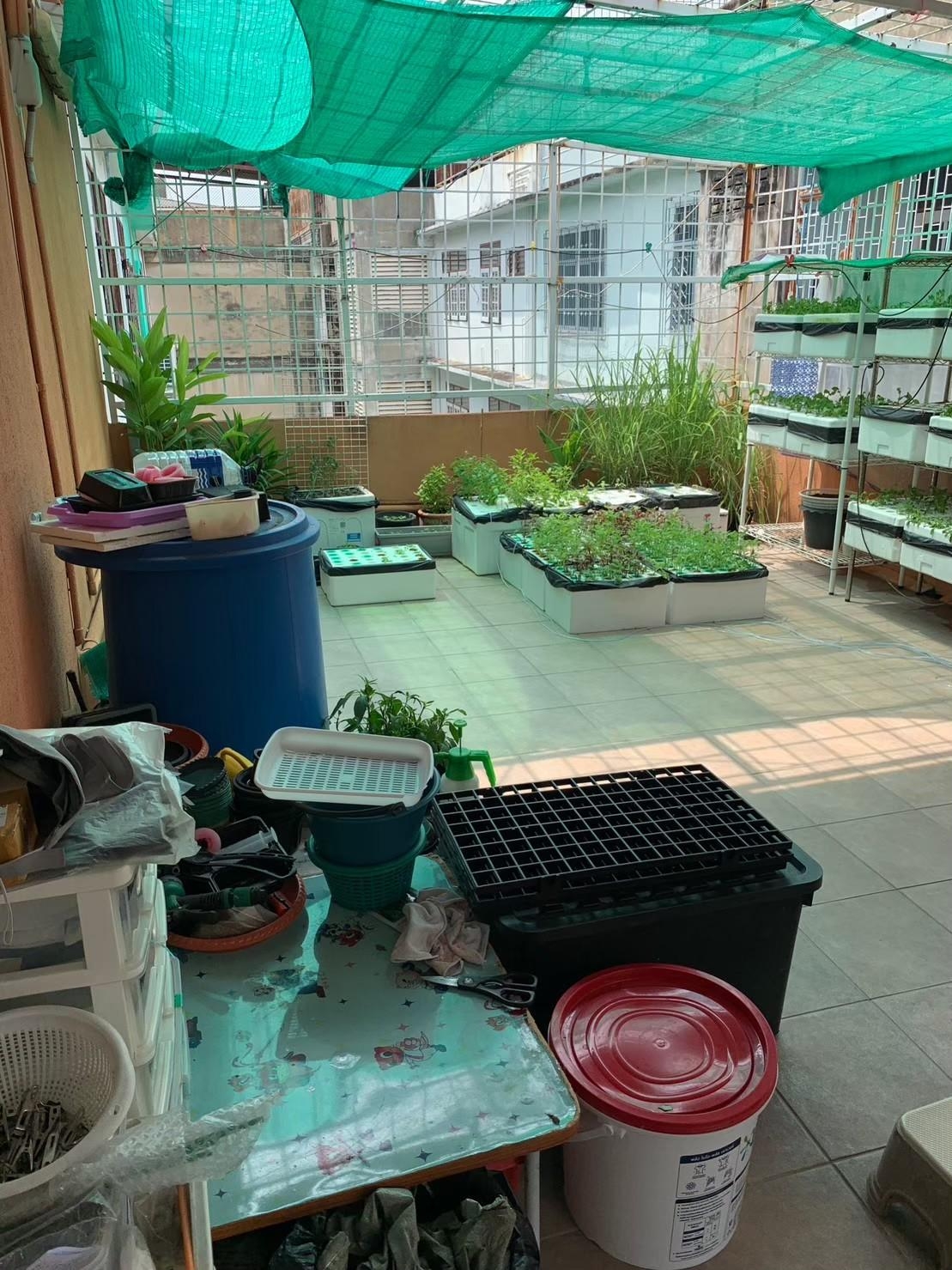 117E69E2-D6B9-4959-802F-18B3E862966F(2)