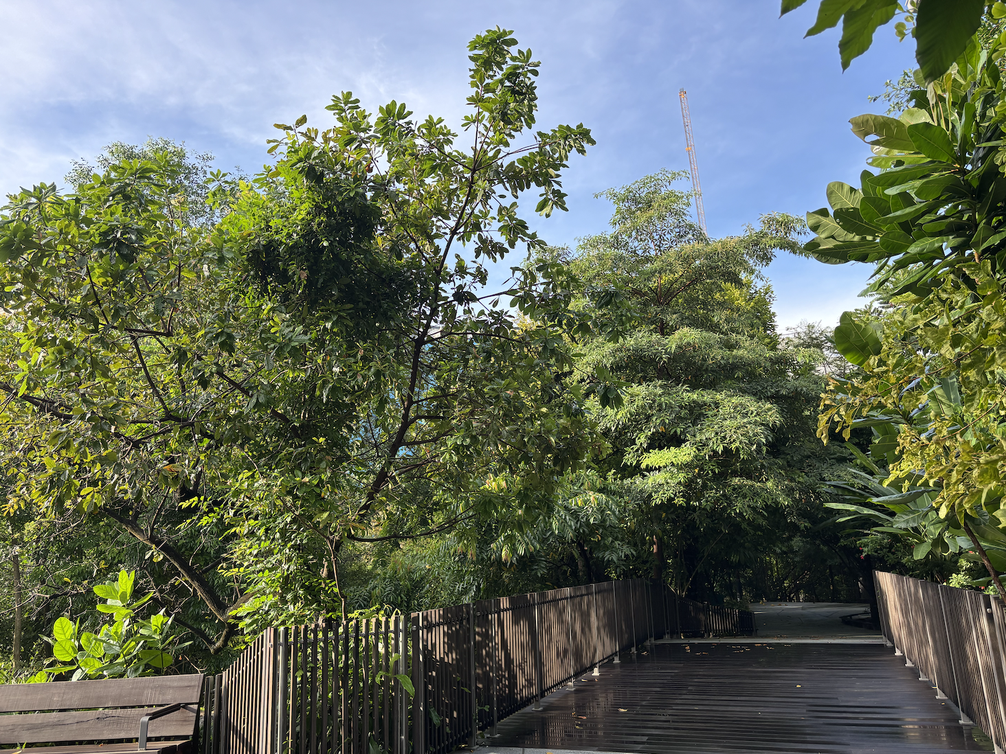 Screenshot 2568-10-31 at 14.08.30