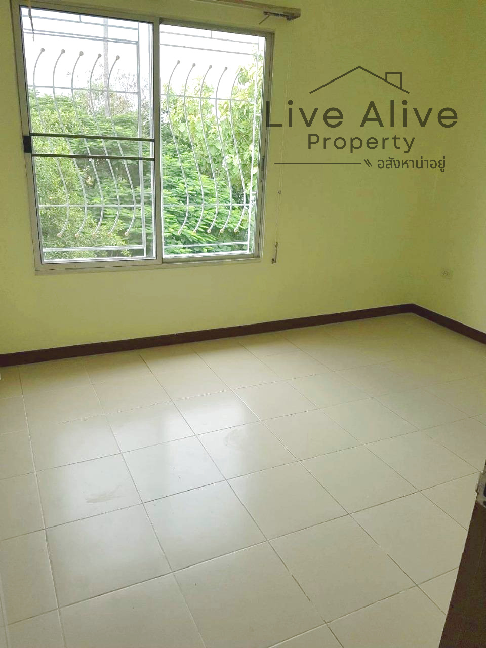 IMG-20250217-212658-012